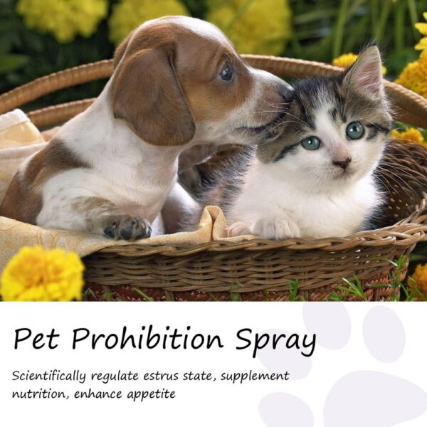Calming Diffuser Dog Calming Spray For Dogs - Image 3