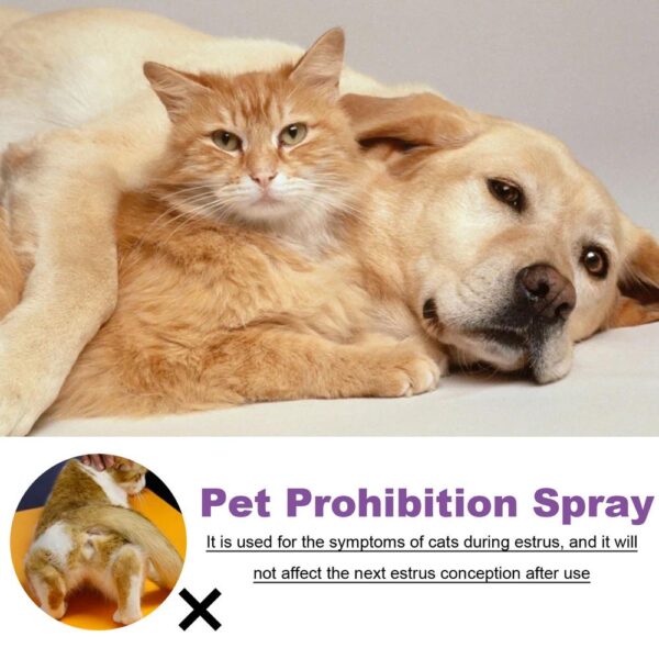 Calming Diffuser Dog Calming Spray For Dogs - Image 2