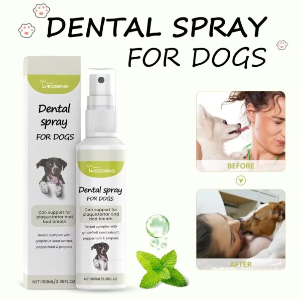 Dog Mouth Freshener Remove Tartar Tooth Stain Bad Breath - Image 4