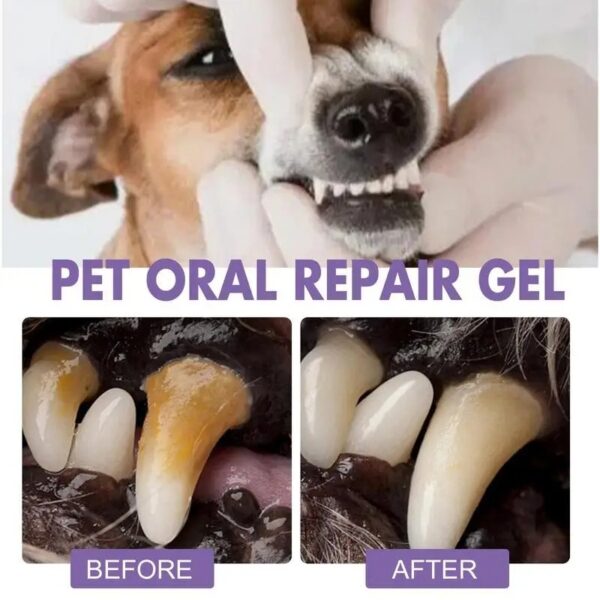 Dog Teeth Cleaning Gel Dog Teeth Cleaning Clean Teeth Gel Pet Teeth Care - Image 5