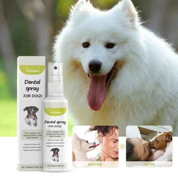 Dog Mouth Freshener Remove Tartar Tooth Stain Bad Breath - Image 6