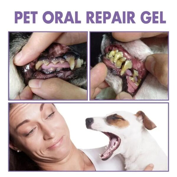 Dog Teeth Cleaning Gel Dog Teeth Cleaning Clean Teeth Gel Pet Teeth Care - Image 6