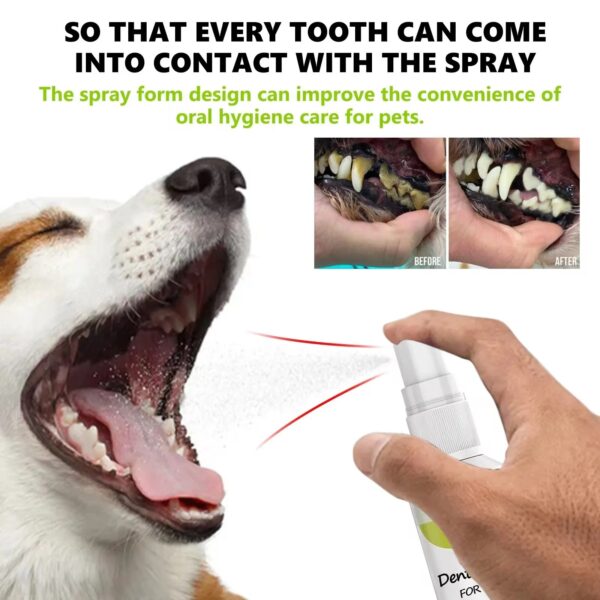 Dog Mouth Freshener Remove Tartar Tooth Stain Bad Breath - Image 7