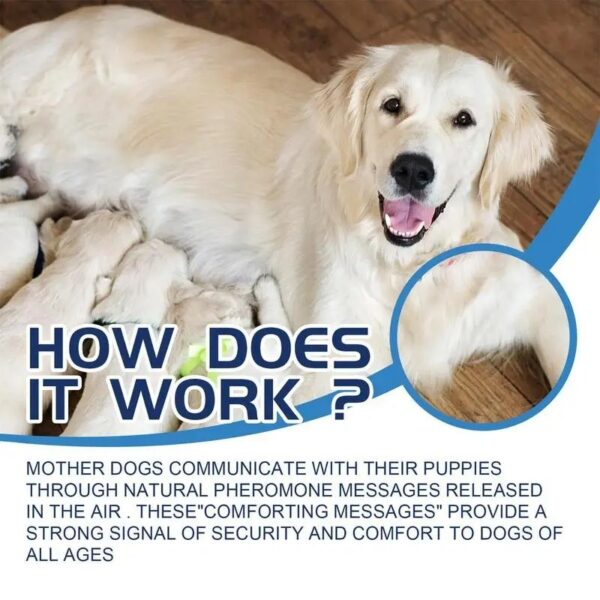 Dog Calming Spray Cats Dog Calming Spray For Cats Pet Anti-anxiety - Image 6