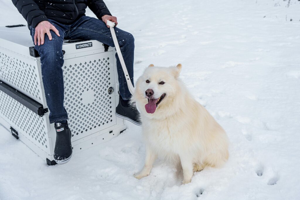 A person sits with a white fluffy dog beside a crate in a snowy winter scene.