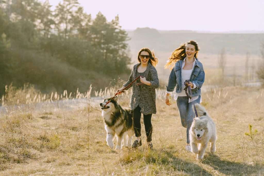 Two women joyfully walking their dogs in a sunny field, capturing a moment of happiness and companionship.