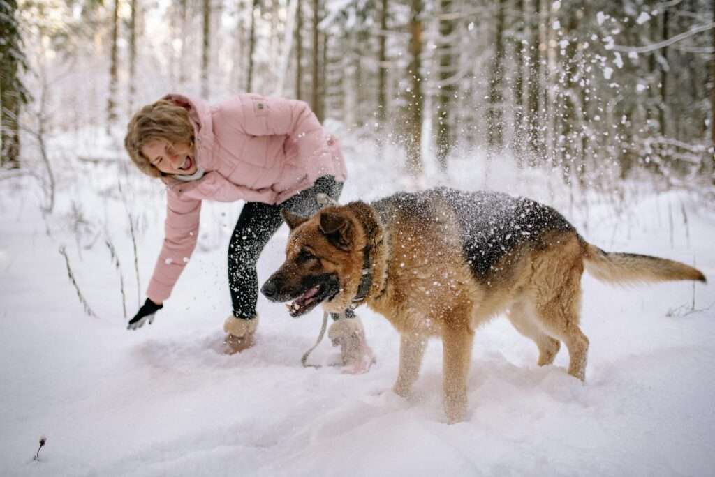A woman with her German Shepherd enjoying a playful moment in a winter wonderland.