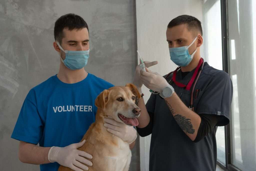 Veterinarian administers injection to a dog with volunteer assistance in a clinic.