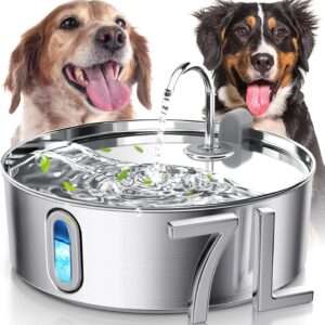 Dog Water Fountain for Large Dogs