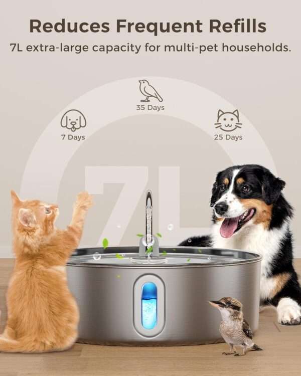 Dog Water Fountain for Large Dogs - Image 3