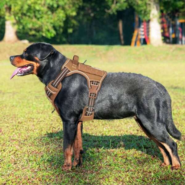 Heavy Duty Tactical Dog Harness for Large Dogs - Image 4