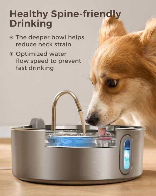 Dog Water Fountain for Large Dogs - Image 6